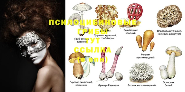 прущие крисы Магадан
