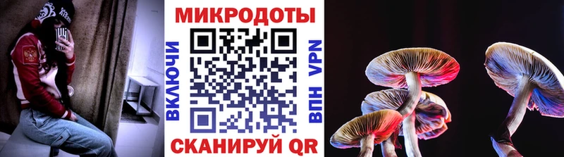 omg ссылка купить закладку Мышкин Псилоцибиновые грибы ЛСД