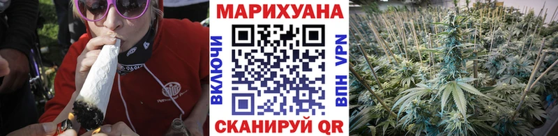 сколько стоит  Мышкин  Бошки марихуана White Widow 
